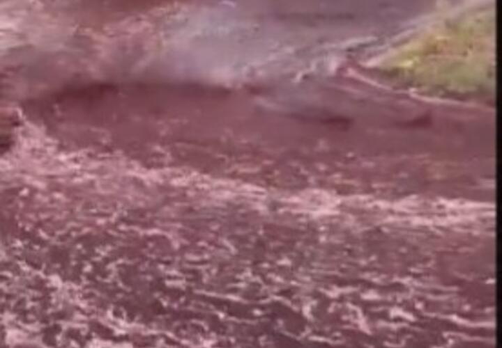 Краев не видят: в Португалии город затопило вином