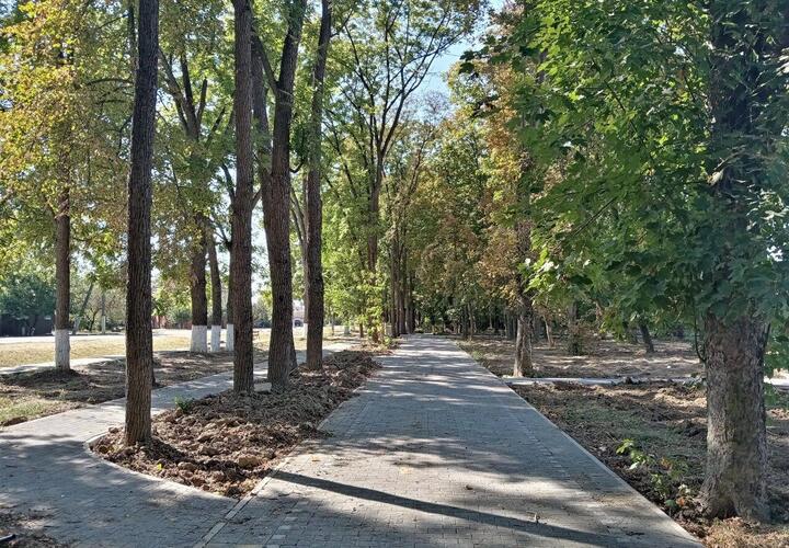 На Кубань спустится туман, дождей не ожидается