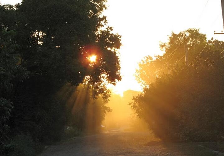 На Кубани 21 сентября ожидается до +31 градуса