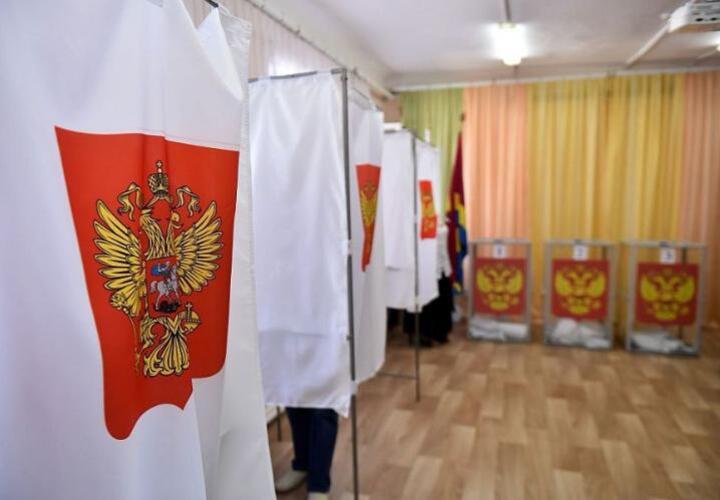 На Кубани стартовали выборы в органы местного самоуправления