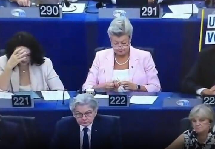 На сессии Европарламента комиссар по внутренним делам вязала носки