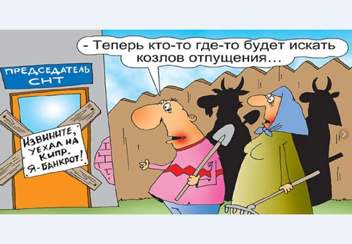 Недружелюбный председатель: руководитель двух СНТ готовит товарищества к ликвидации