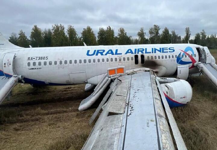 Пассажирам самолета «Сочи – Омск» выплатят по 100 тысяч рублей