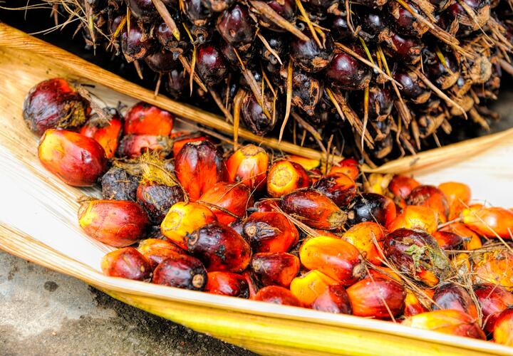 Пищевой технолог рассказала, чем полезно пальмовое масло