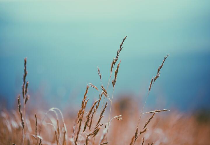 Синоптики рассказали, какая погода будет в субботу, 30 сентября, на Кубани 