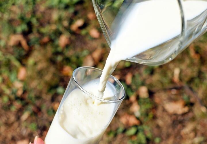 Суррогат под видом молока продавал кубанский производитель