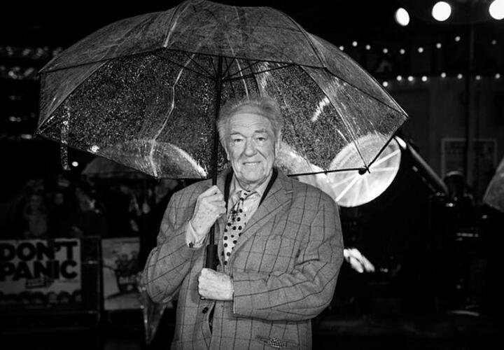 Умер актер Майкл Гэмбон, сыгравший Дамблдора в «Гарри Поттере»