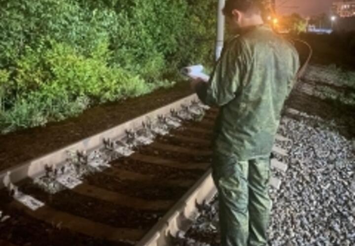 В Краснодаре на железной дороге погиб ребенок
