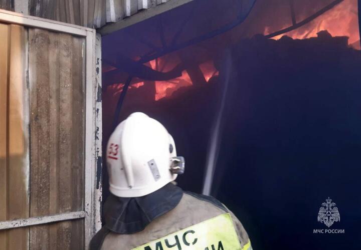 В Краснодарском крае крупный пожар произошел в станице Новодмитриевской