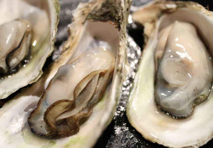 В Новороссийске браконьеры вручную оторвали с волнорезов почти 5 тысяч мидий 