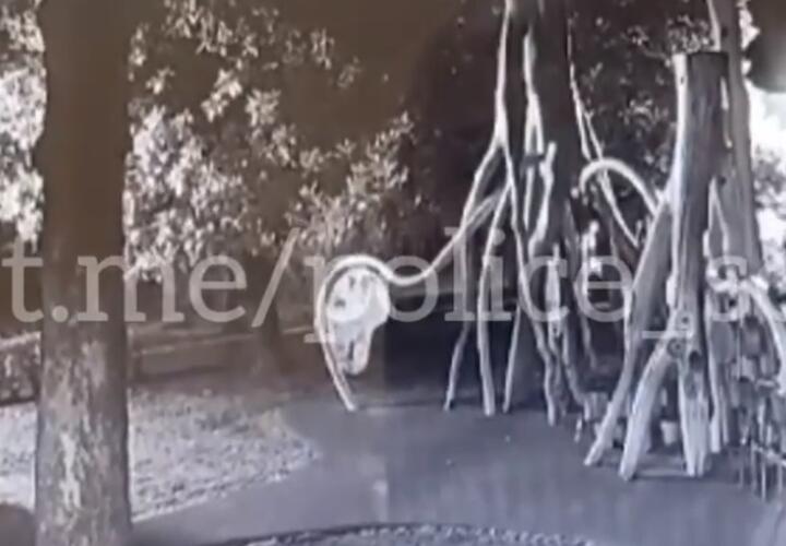 В Сочи 39-летний мужчина подрался с подростками