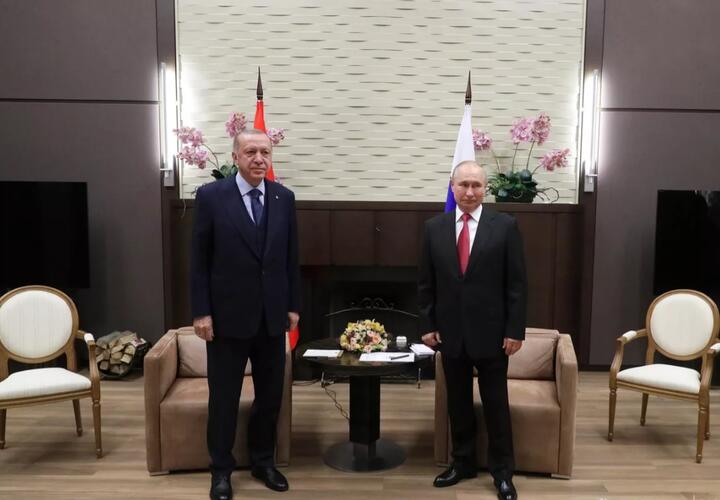 В Сочи начались переговоры Путина и Эрдогана