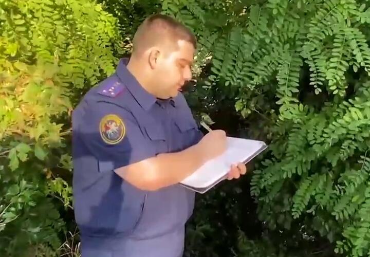 В Сочи возбудили уголовное дело после гибели женщины, упавшей в овраг