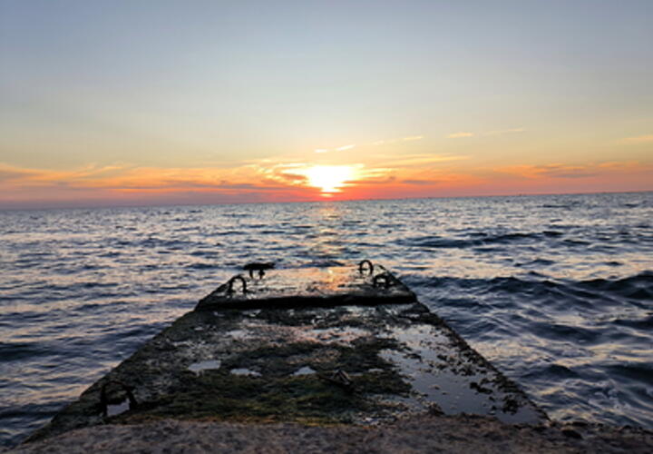 Длинные выходные в ноябре и огромные полчища медуз в Азовском море: ТОП-5 за 24 октября