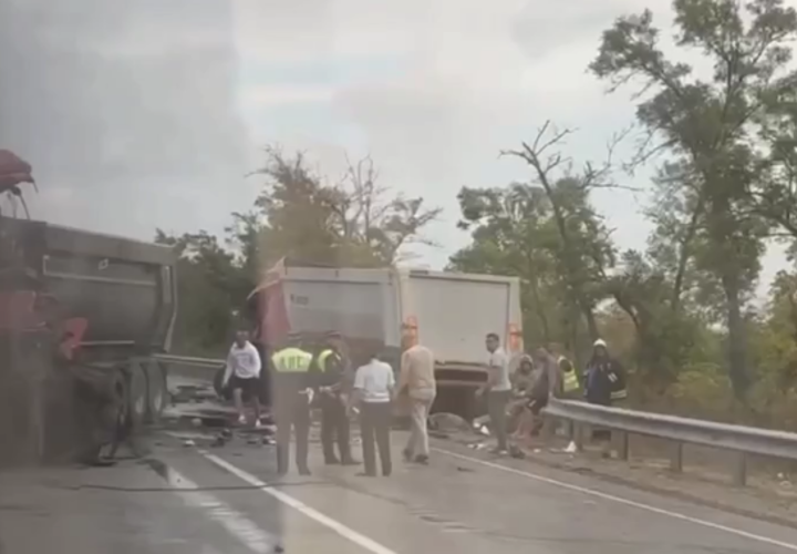 Два большегруза столкнулись на дороге в Краснодарском крае