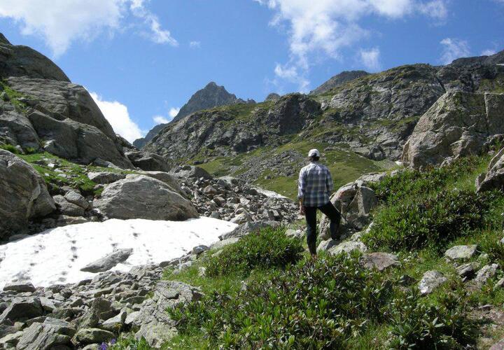 Из-за заморозков закрыли туристический маршрут к Черному морю