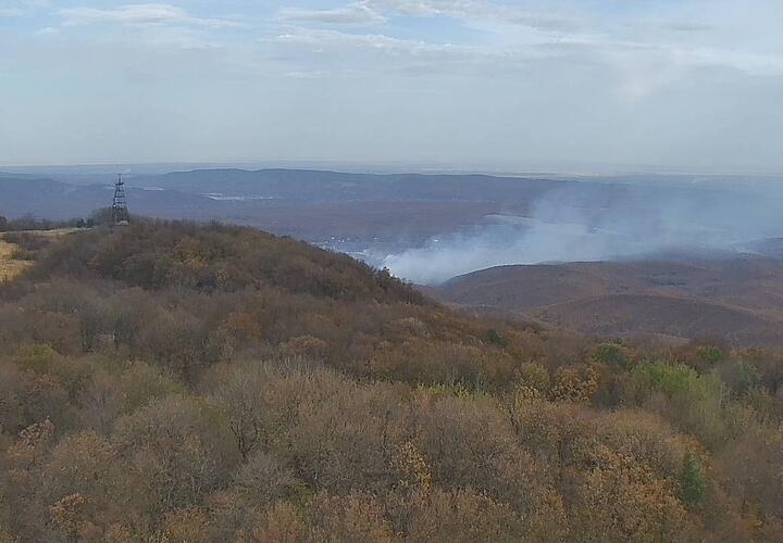 Мощный пожар охватил почти 10 гектаров леса на Кубани