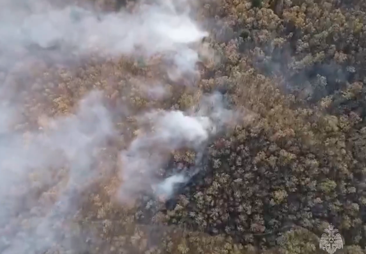 Огонь охватил почти 15 гектаров леса на Кубани