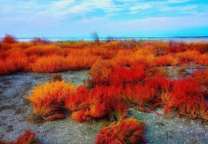 Под Анапой туристы обнаружили поля с марсианскими пейзажами