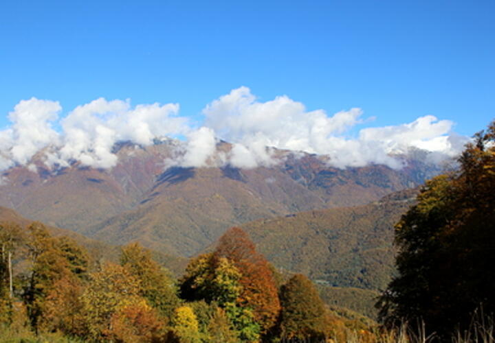 Прогноз синоптиков: какой будет погода с 23 по 29 октября на Кубани