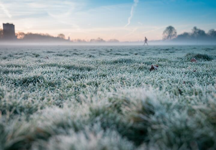 Сегодня ночью на Кубани столбики термометров опустятся ниже нуля