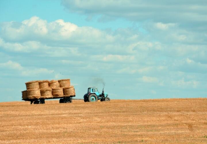Сегодня в России празднуют День работника сельского хозяйства