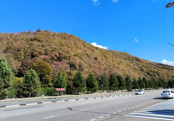 Синоптики прогнозируют на Кубани 29 градусов тепла