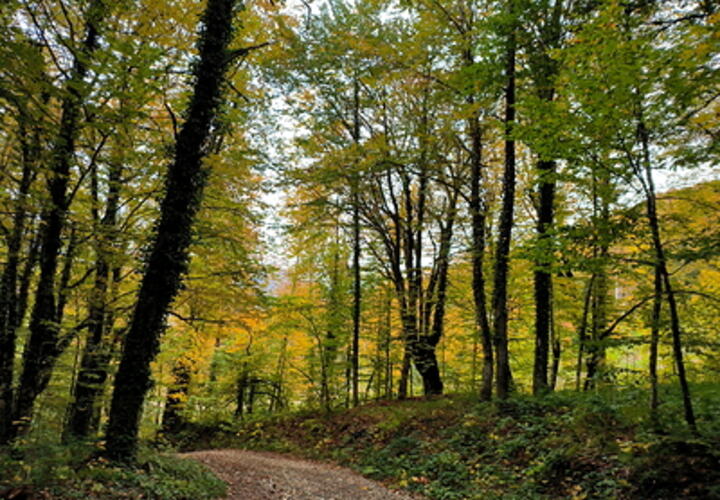 Синоптики рассказали, какой будет погода на Кубани 19 октября