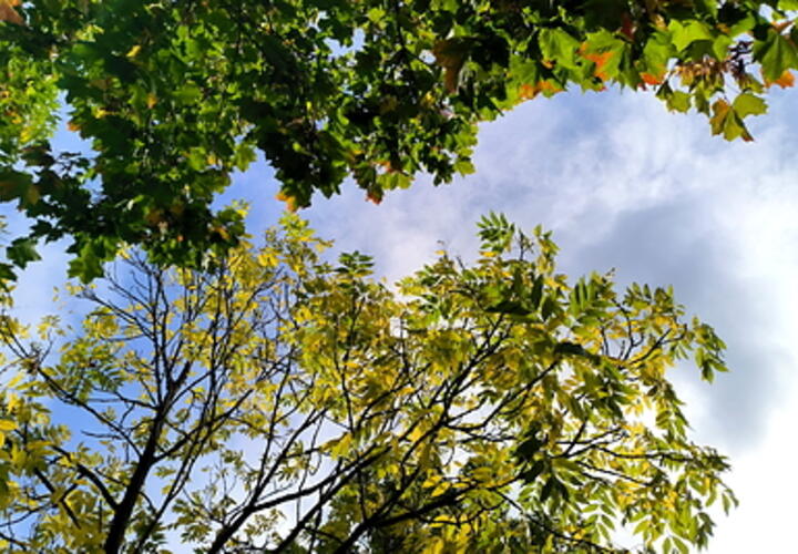 Синоптики рассказали о погоде в Краснодарском крае на 12 октября