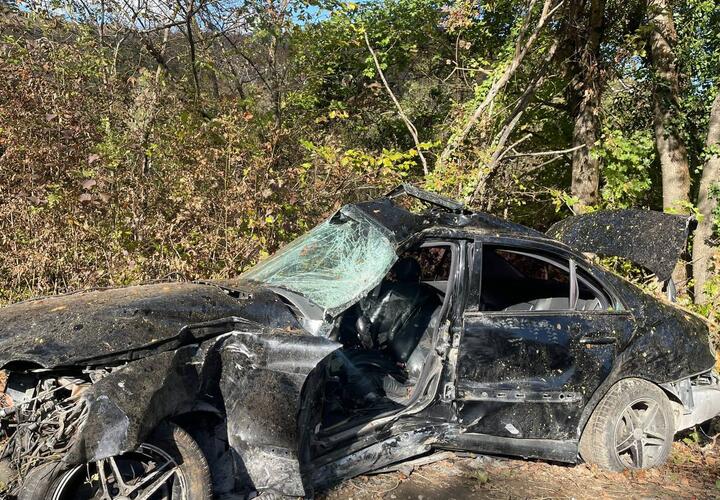 В Геленджике 17-летний подросток без прав погиб, врезавшись в дерево