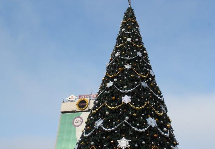 В Краснодаре на установку и украшение десятка старых елок потратят 3,7 млн рублей