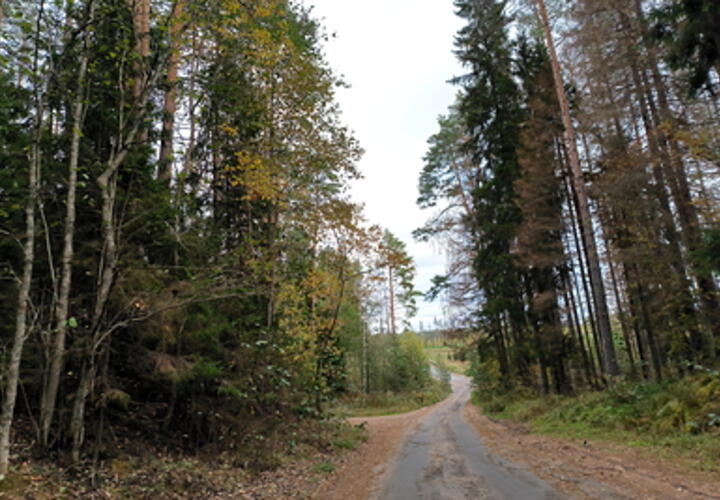 В Краснодарском крае сегодня днем будет тепло и сухо, но ветрено