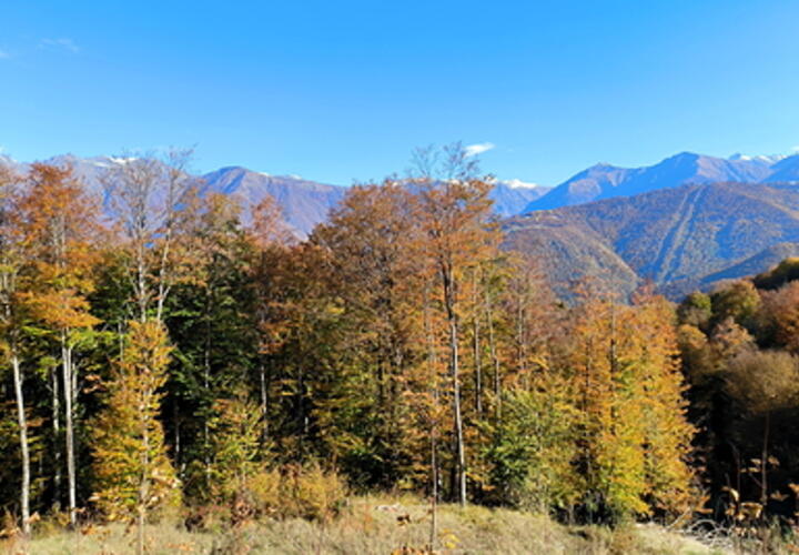 В Краснодарском крае сегодня тепло, местами пройдут небольшие дожди