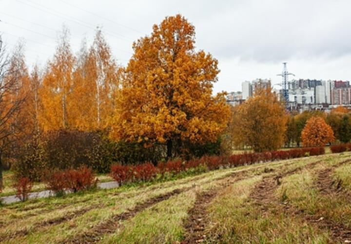 В среду на Кубани без осадков, лишь вечером местами пройдет небольшой дождь