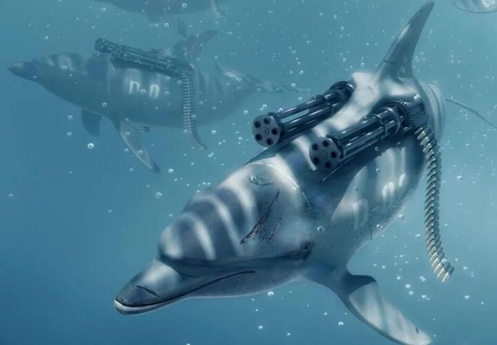 ВМФ России будет использовать дельфинов для защиты кораблей от водолазов-минеров