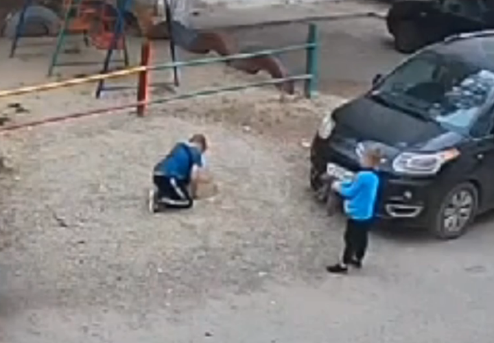 Жестокая игра: в Мостовском районе Кубани дети похоронили живого котенка в песочнице