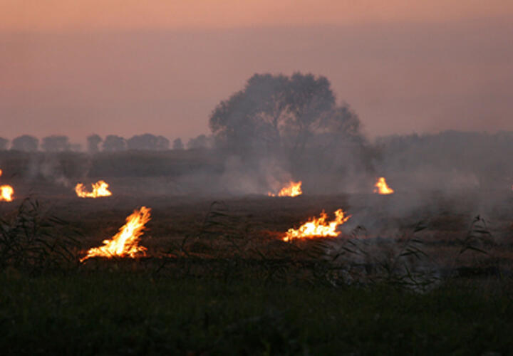 Жителей Кубани предупредили о высокой пожароопасности