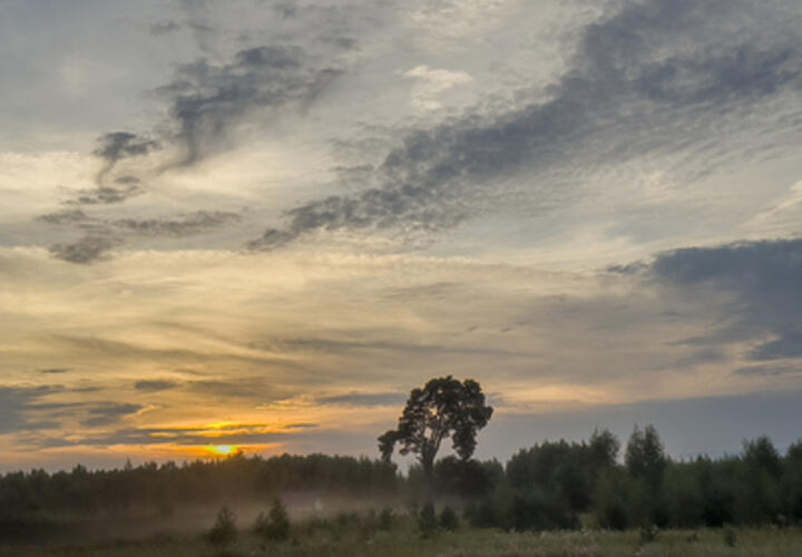 Живите как хотите: на Кубани многодетным семьям выделили участки без света, воды и газа