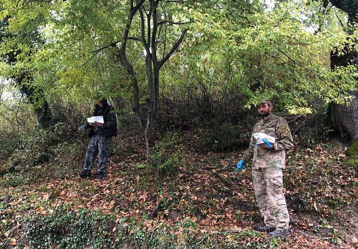 10 тысяч котлет спрятали в лесу сочинского нацпарка