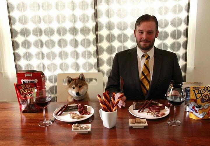 Без шуток: в России появилась потребность в дегустаторах собачьего корма