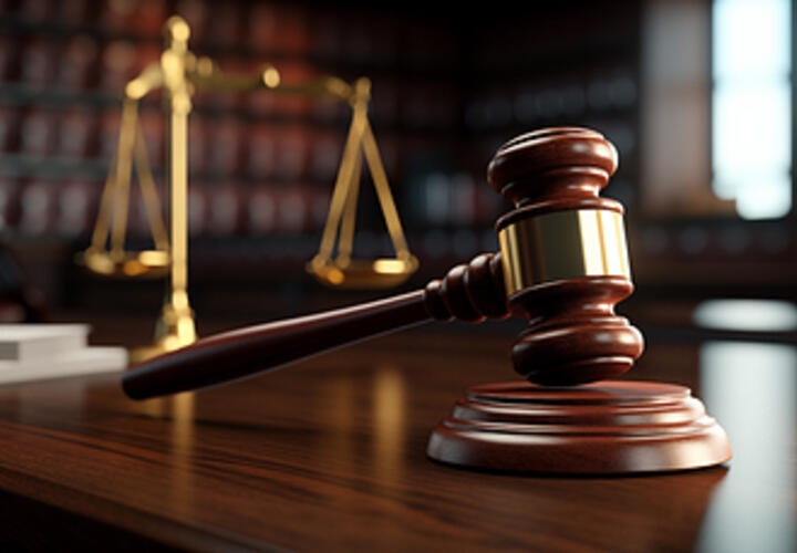 Директор охранной фирмы в Сочи обманом "сэкономил" на налогах более 90 млн рублей