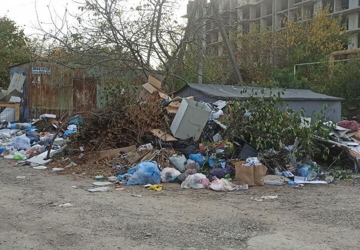 Копии паспортов клиентов крупного банка найдены на уличной свалке в Краснодаре