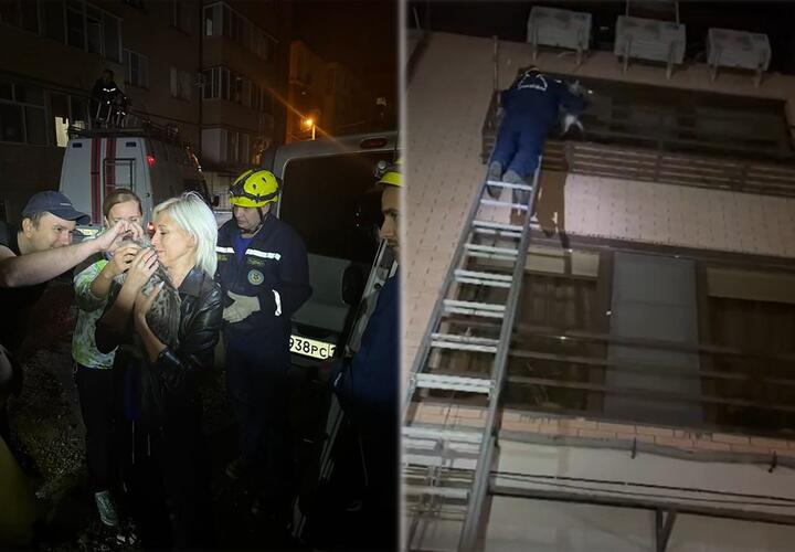 Кричал несколько дней: в Краснодаре хозяева квартиры бросили на балконе кота и уехали