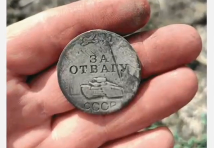 Медаль «За отвагу» нашли на грядках клубники в Краснодарском крае