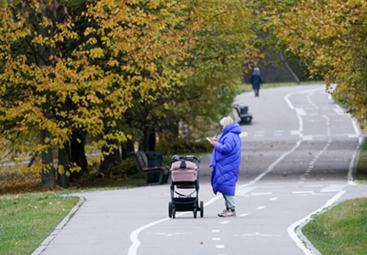 На несуществующих детей 10 жителей Краснодара за 3,5 года получили  выплат на 4 млн рублей