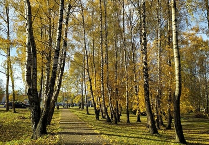 О погоде на Кубани 9 ноября рассказали синоптики