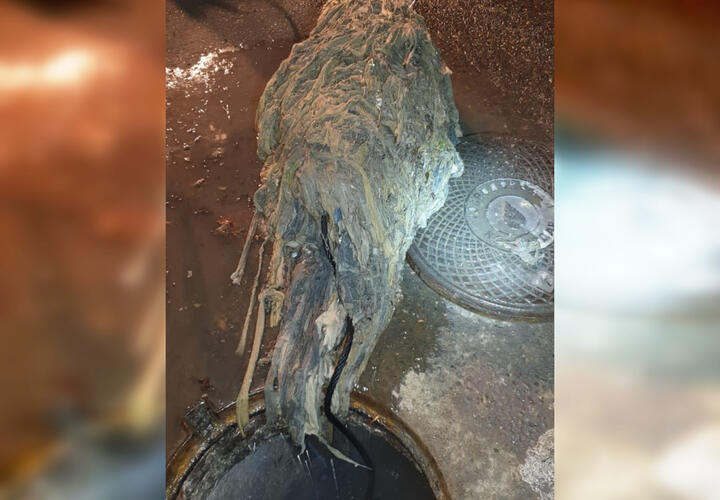 Влажные салфетки зачастую являются причиной засоров, последствия которых видны после выпадания осадков