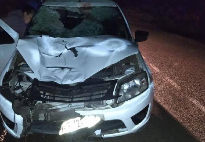 Отвечать за две жизни: на Кубани будут судить водителя, сбившего насмерть мужчину и 9-летнюю девочку