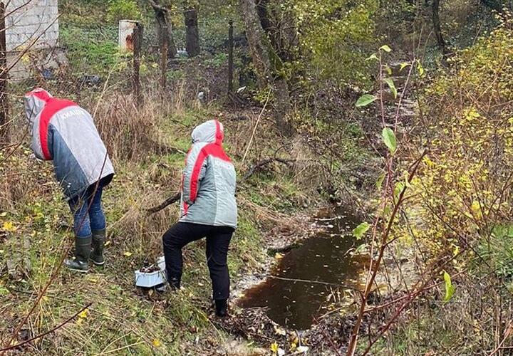 Вода в озере Озерейка стала черной пенящейся жижей