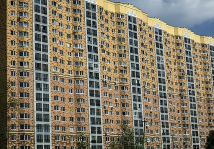 Почему жители Краснодарского края выбирают микрожилье, объяснили эксперты